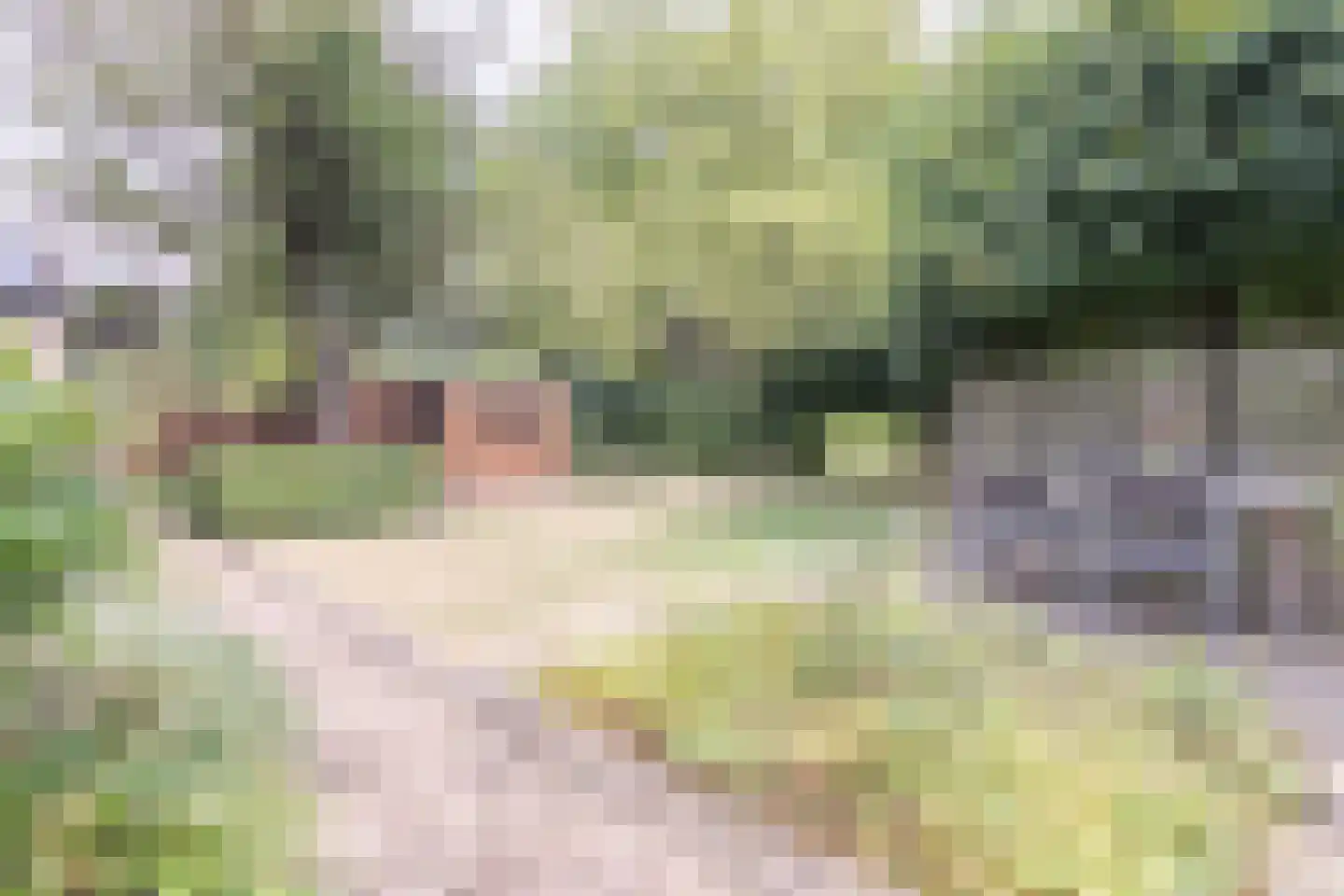 Oosterboerweg 4 B Meppel thumbnail 32