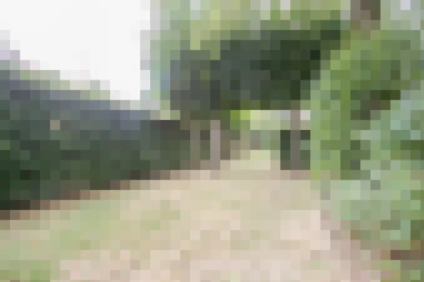 Oosterboerweg 4 B Meppel thumbnail 34