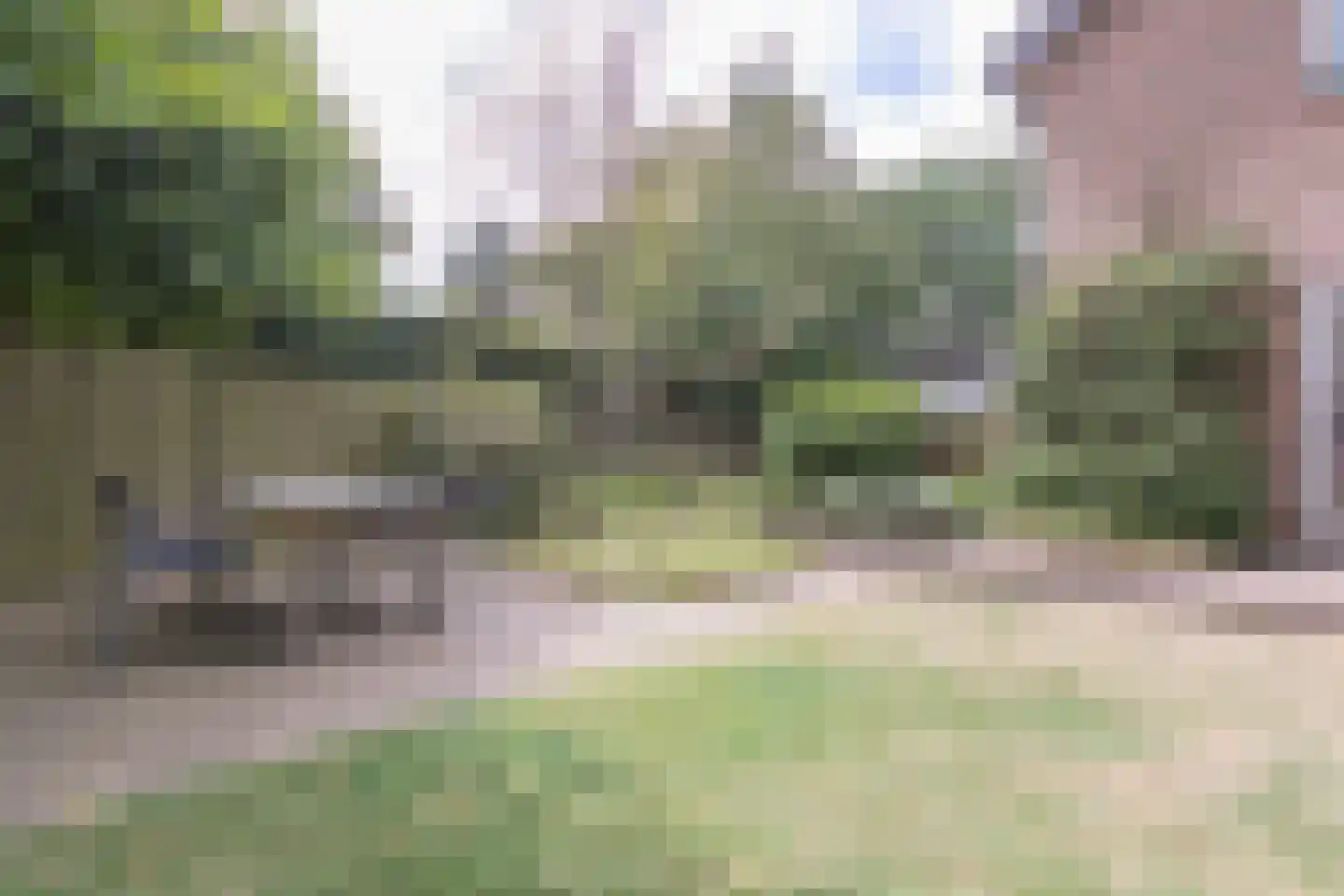 Oosterboerweg 4 B Meppel thumbnail 36