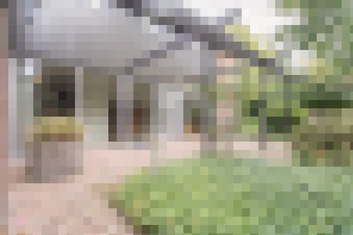 Oosterboerweg 4 B Meppel thumbnail 37