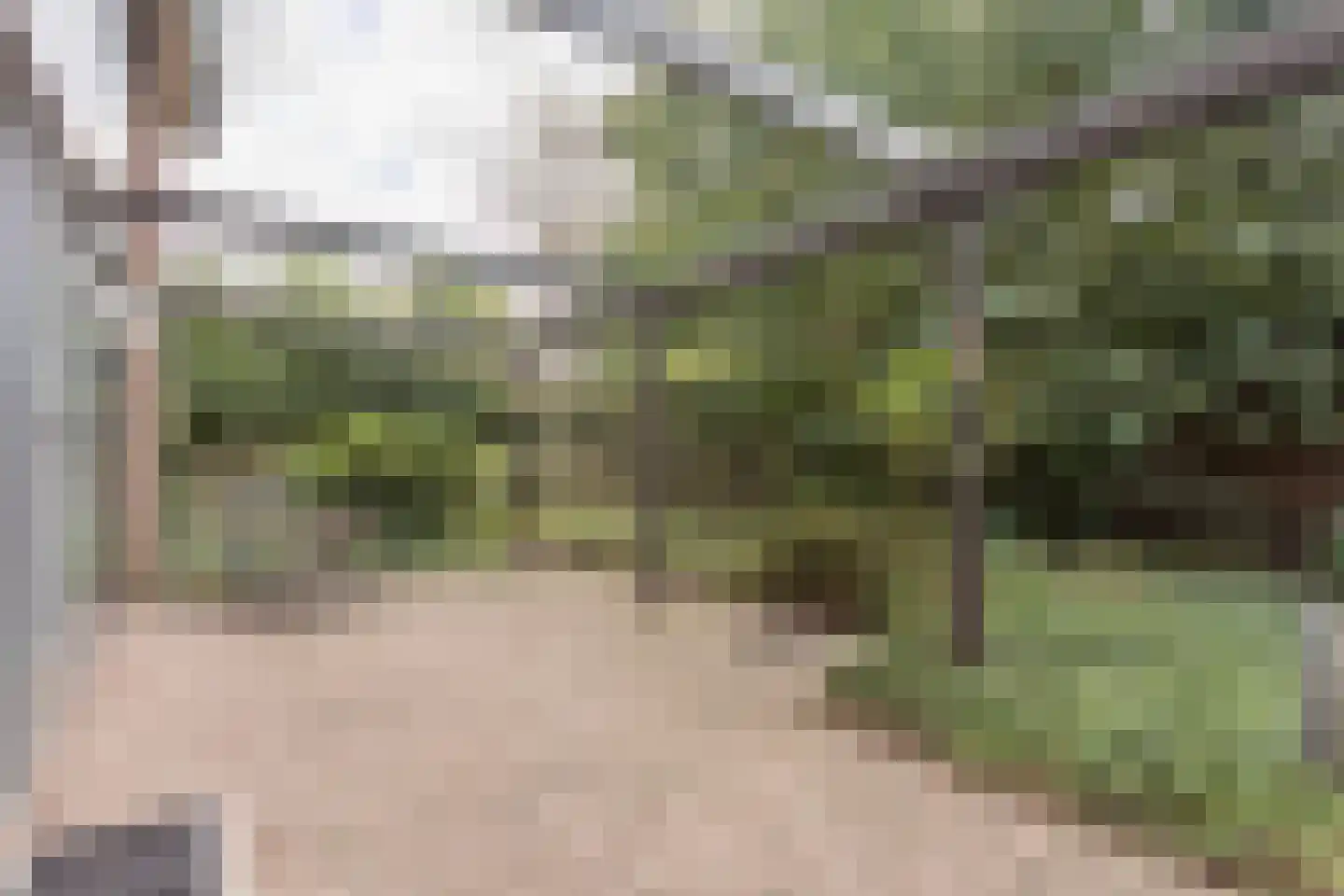 Oosterboerweg 4 B Meppel thumbnail 38