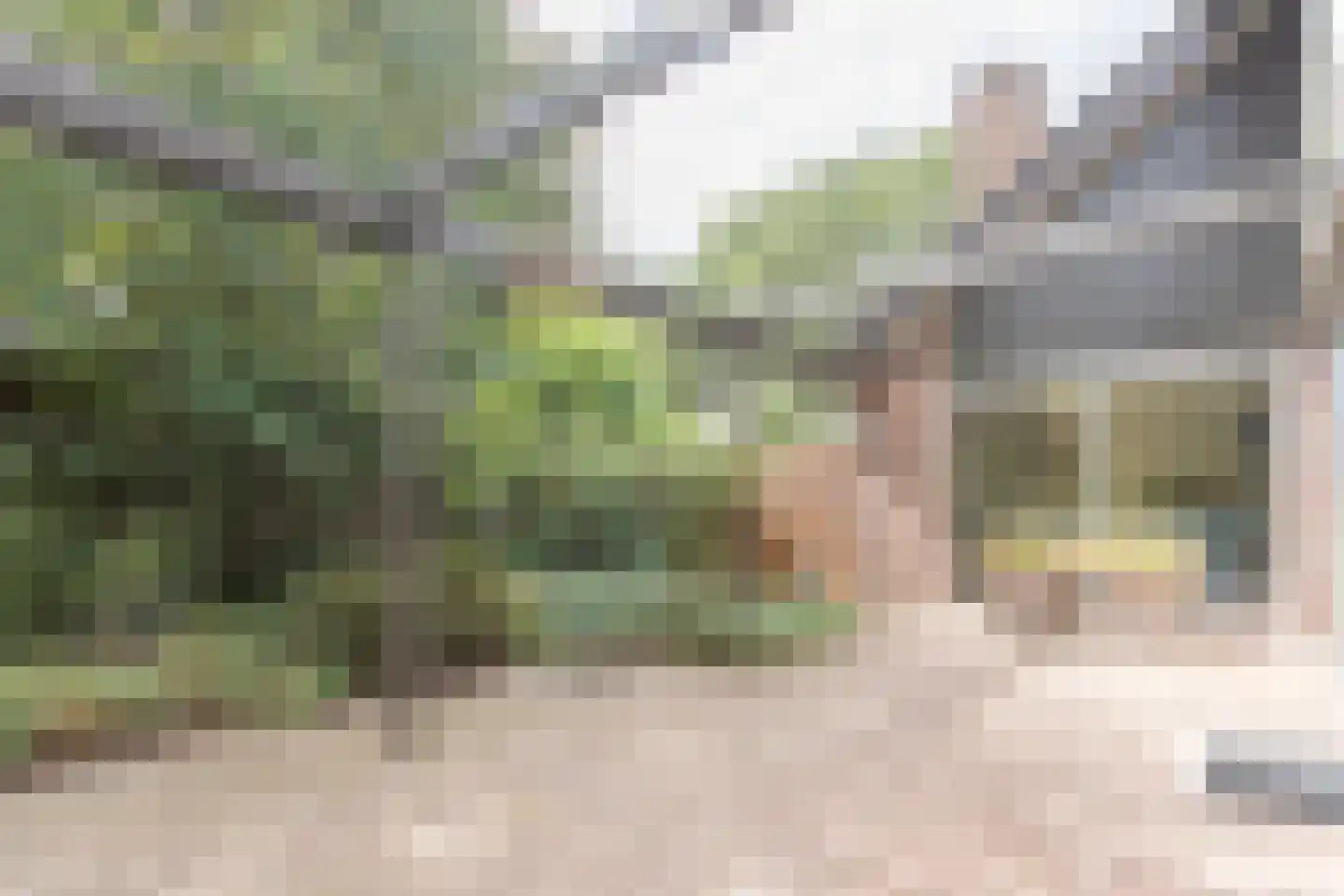 Oosterboerweg 4 B Meppel thumbnail 39