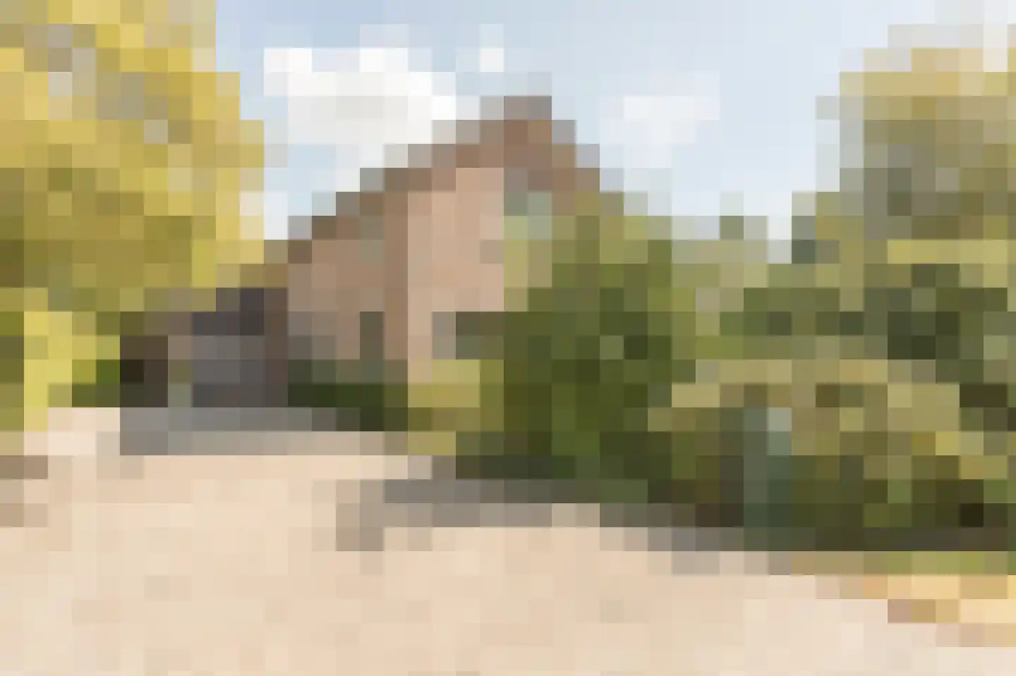 Oosterboerweg 4 B Meppel thumbnail 57