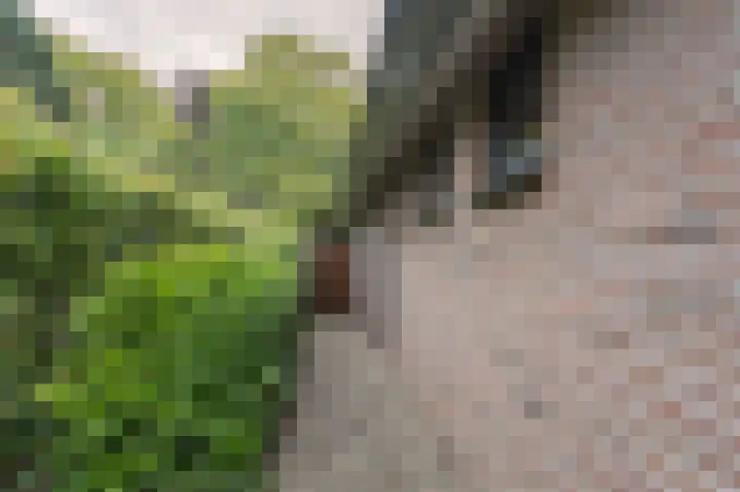 Oosterboerweg 4 B Meppel thumbnail 60