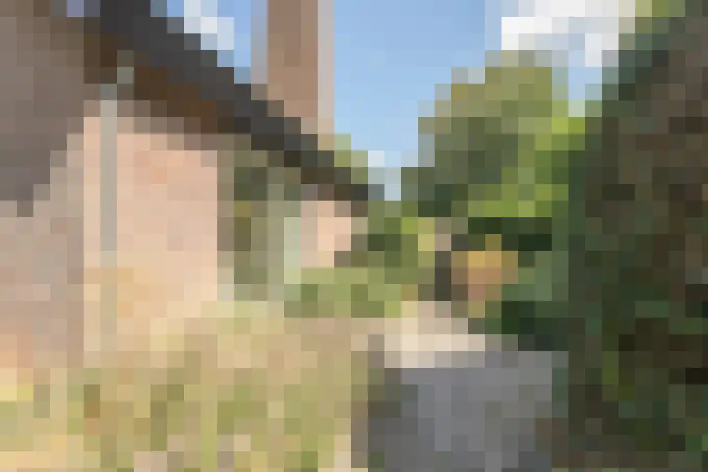 Oosterboerweg 4 B Meppel thumbnail 61