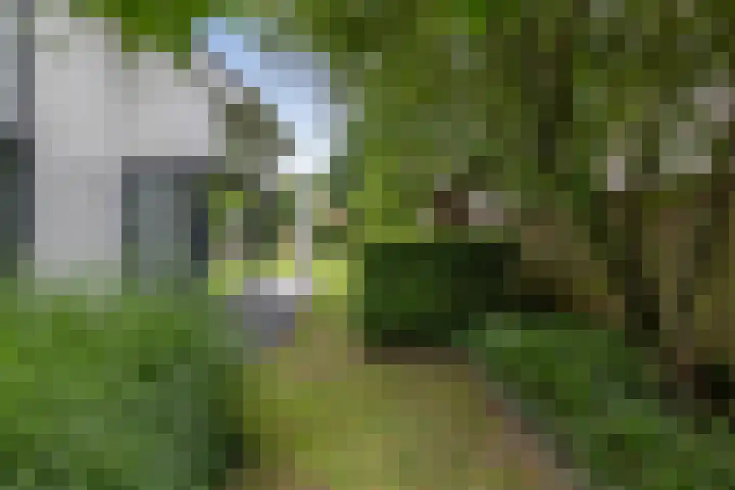 Oosterboerweg 42 Meppel thumbnail 63