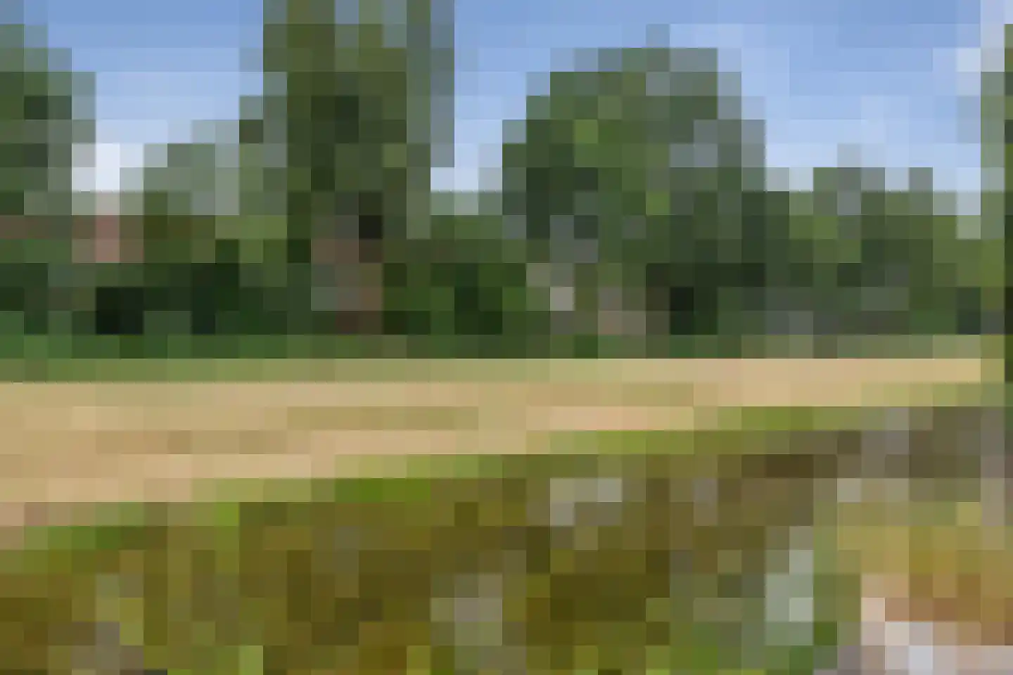 Oosterboerweg 42 Meppel thumbnail 65