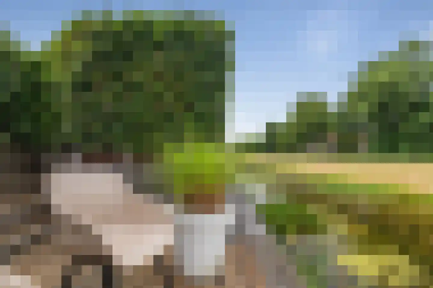 Oosterboerweg 42 Meppel thumbnail 66