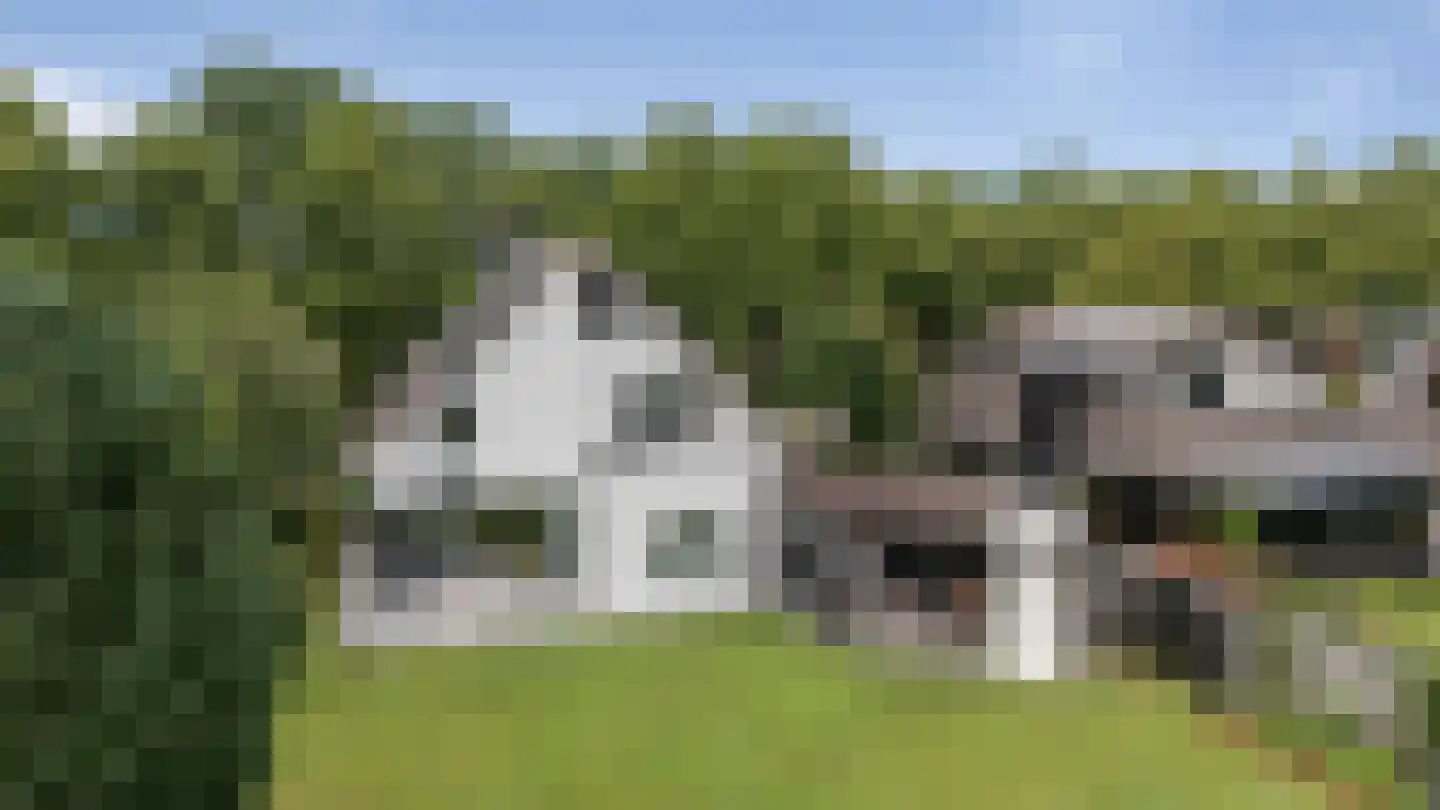 Oosterboerweg 42 Meppel thumbnail 69