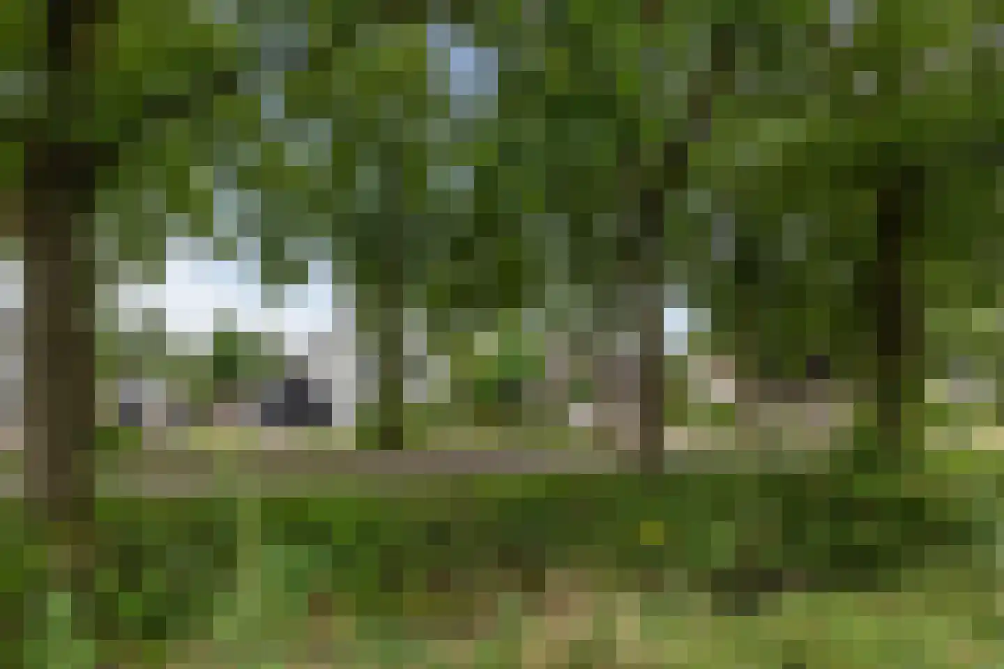 Oosterboerweg 42 Meppel thumbnail 73