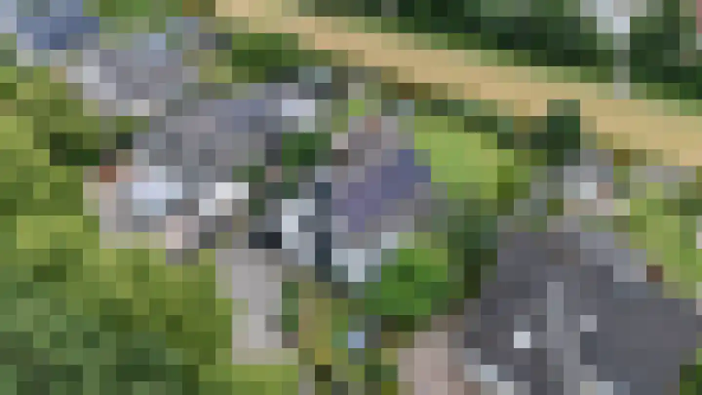 Oosterboerweg 42 Meppel thumbnail 75