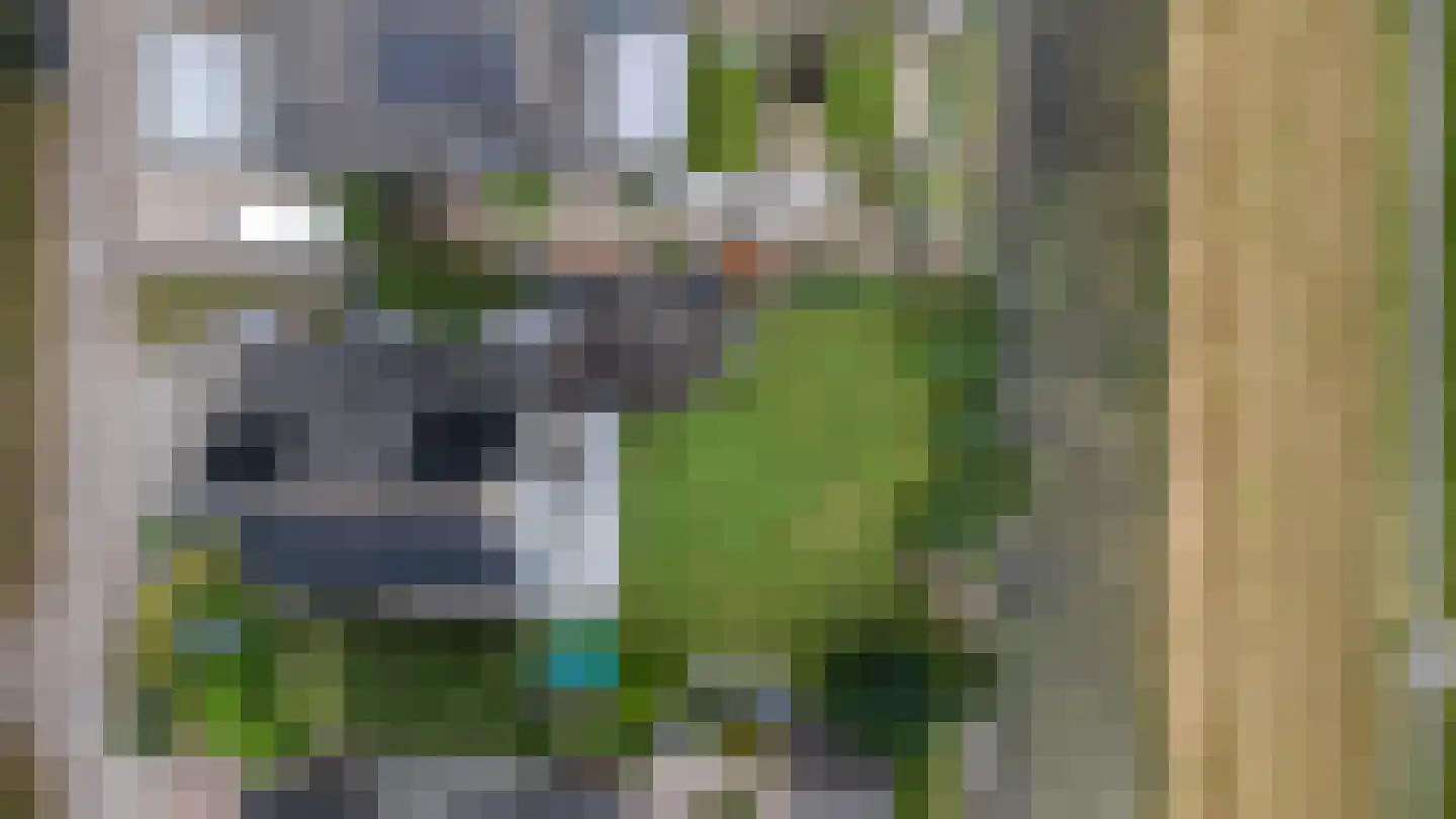 Oosterboerweg 42 Meppel thumbnail 78