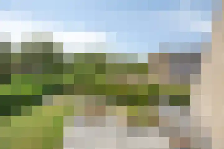 Oosterboerweg 50 Meppel thumbnail 38