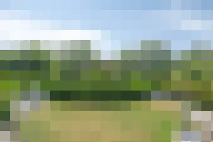 Oosterboerweg 50 Meppel thumbnail 4