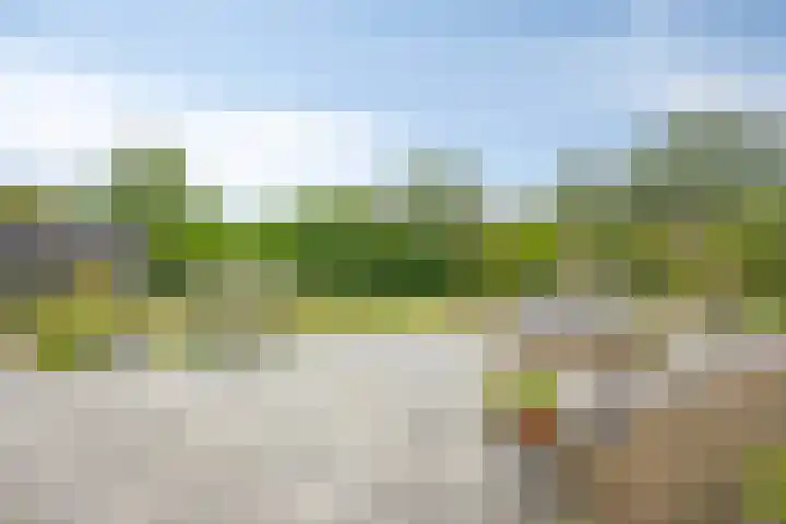Oosterboerweg 50 Meppel thumbnail 44