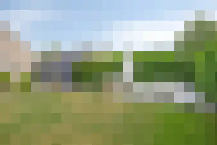 Oosterboerweg 50 Meppel thumbnail 46
