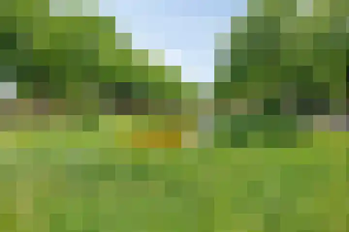 Oosterboerweg 50 Meppel thumbnail 49