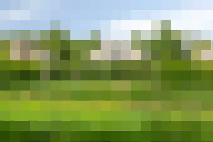Oosterboerweg 50 Meppel thumbnail 50