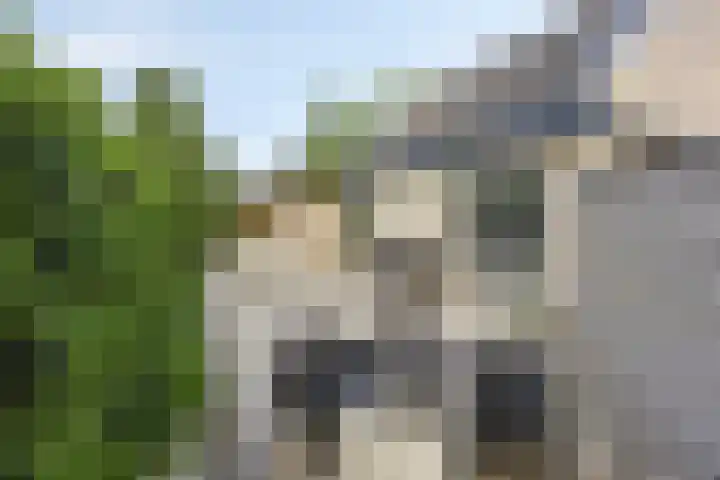 Oosterboerweg 50 Meppel thumbnail 51