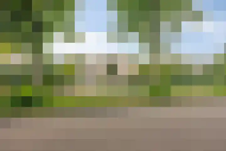 Oosterboerweg 50 Meppel thumbnail 55