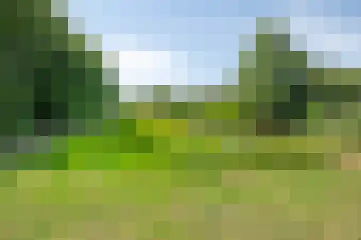 Oosterboerweg 50 Meppel thumbnail 58