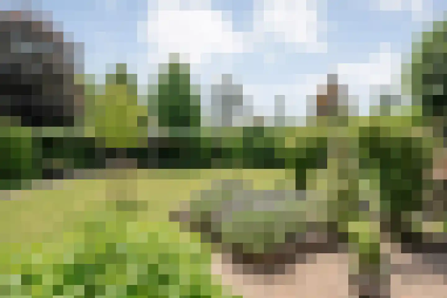 Oosterboerweg 70 Meppel thumbnail 5