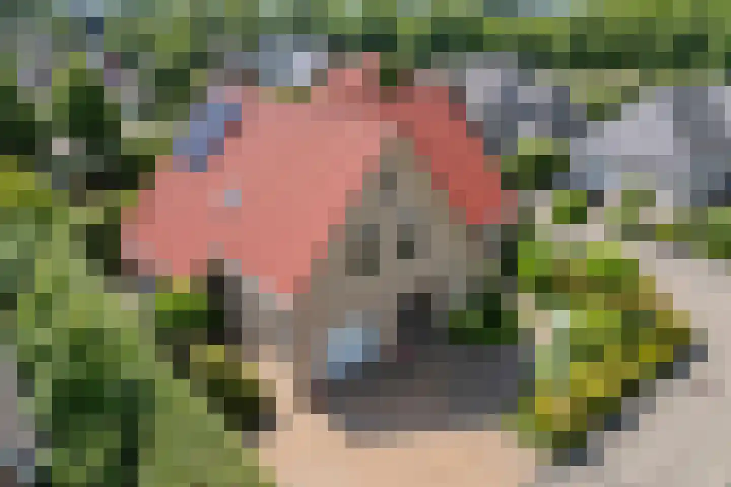 Oosterboerweg 70 Meppel thumbnail 7