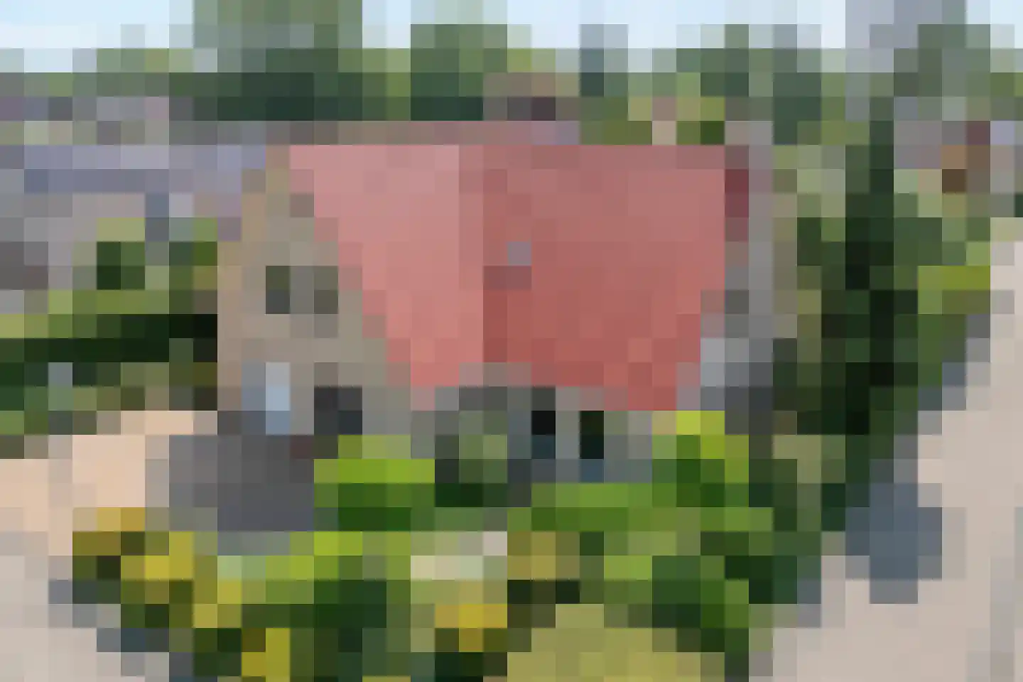 Oosterboerweg 70 Meppel thumbnail 8