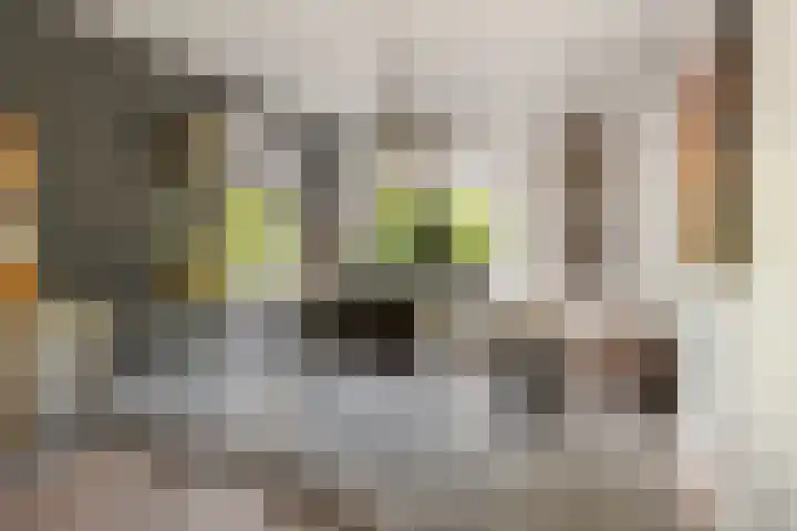 Oosterboslaan 38 Heiloo thumbnail 23