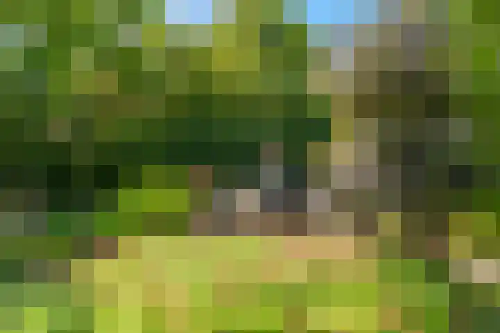 Oosterboslaan 38 Heiloo thumbnail 30