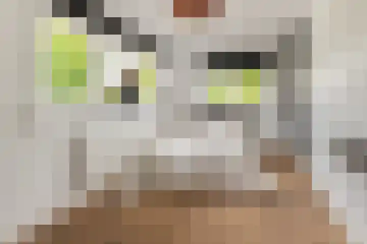 Oosterboslaan 38 Heiloo thumbnail 37