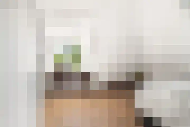 Oosterboslaan 38 Heiloo thumbnail 52