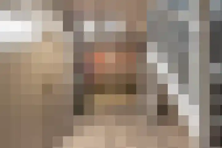 Oosterboslaan 38 Heiloo thumbnail 57