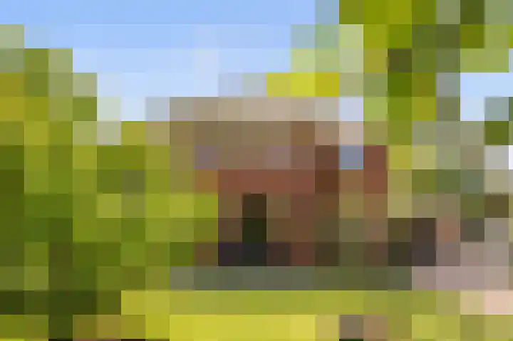 Oosterboslaan 38 Heiloo thumbnail 6