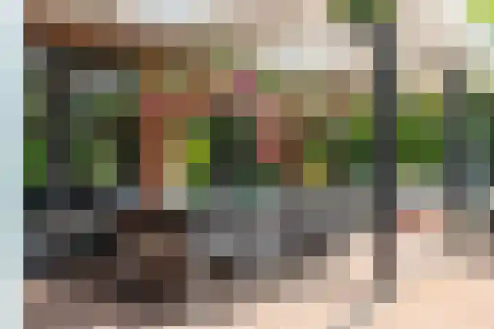 Oosterboslaan 38 Heiloo thumbnail 64