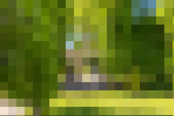 Oosterboslaan 38 Heiloo thumbnail 66