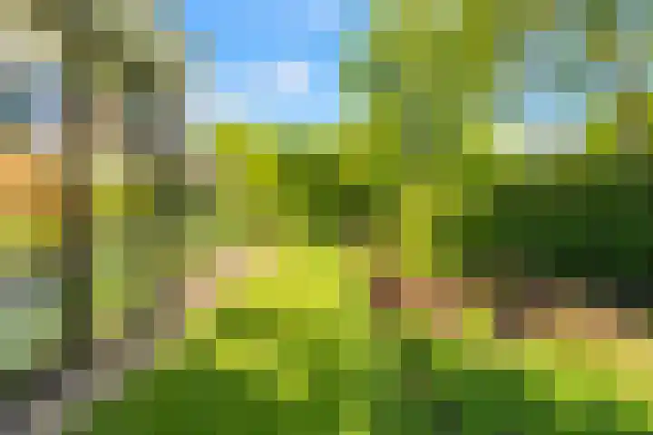 Oosterboslaan 38 Heiloo thumbnail 67