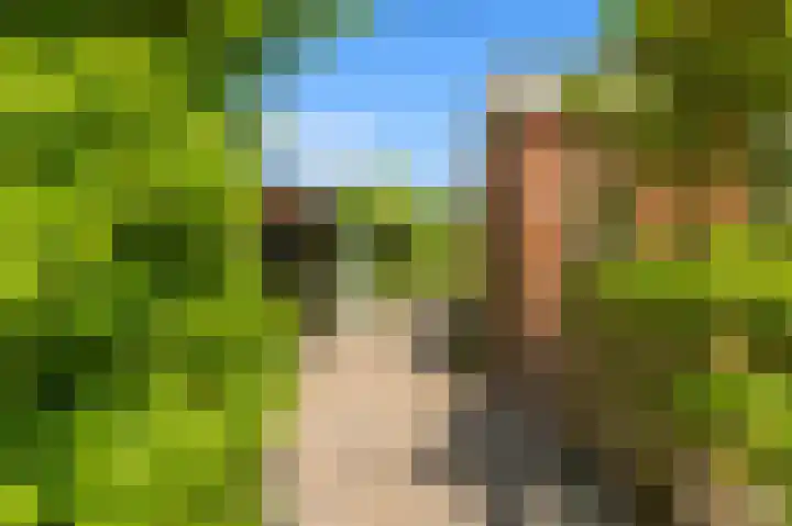 Oosterboslaan 38 Heiloo thumbnail 69