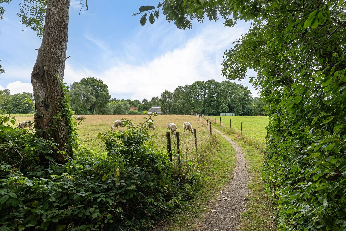 Oosterbrink 5 Oosterwolde thumbnail 68
