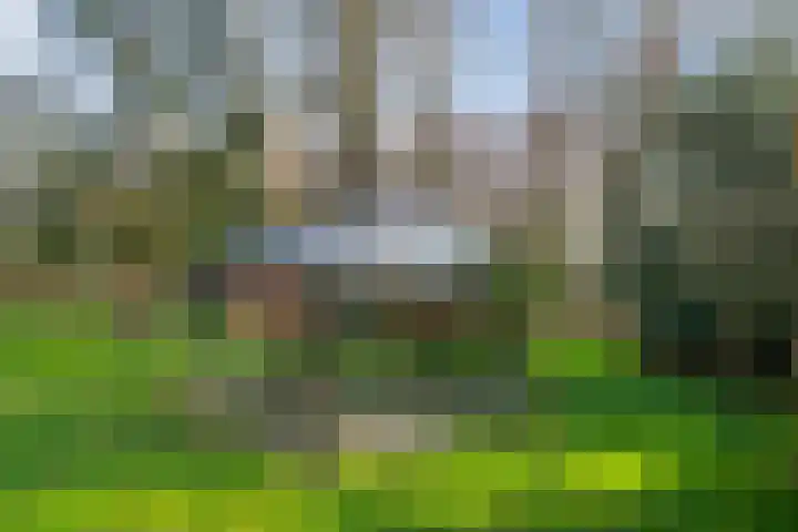 Oosterbroek 3 Eelde thumbnail 38
