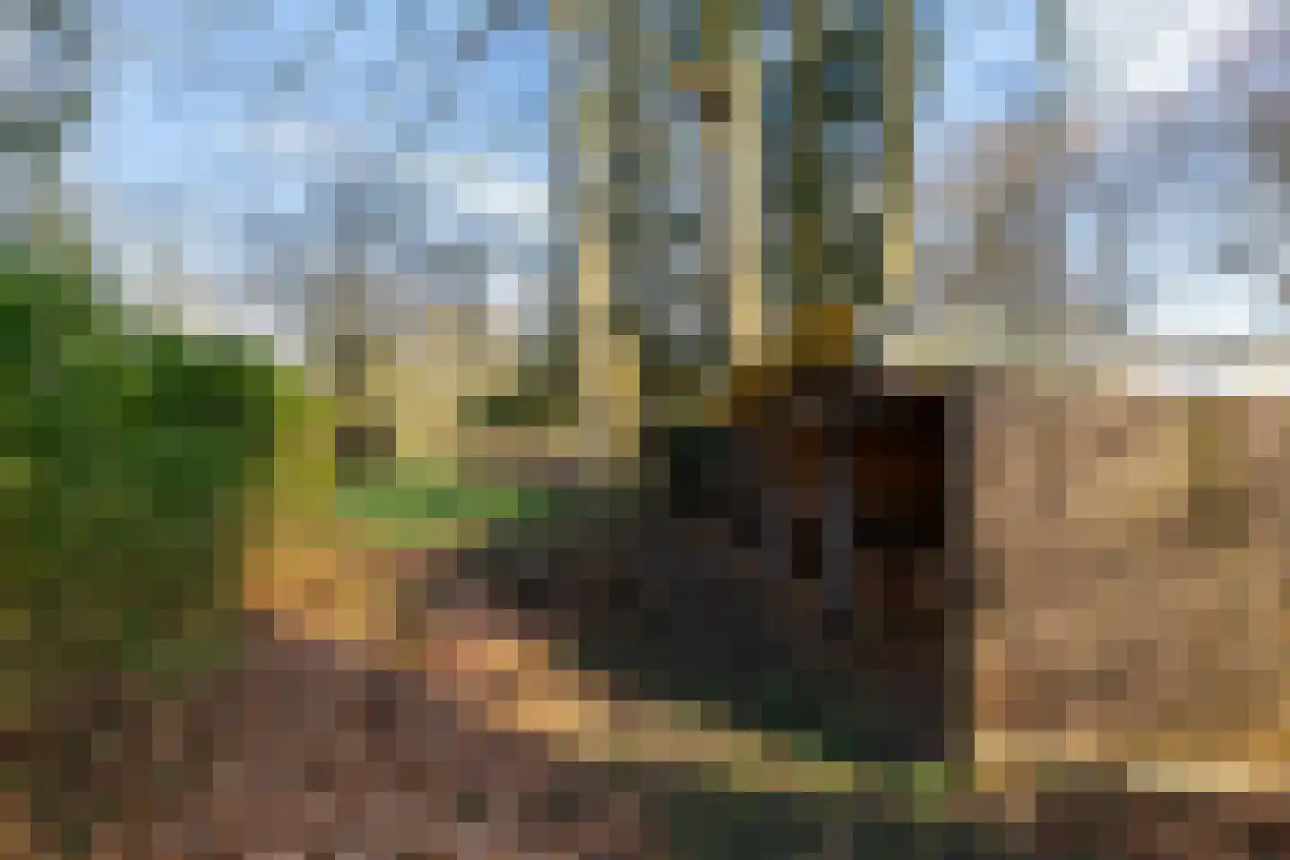 Oosterbroek 3 Eelde thumbnail 39
