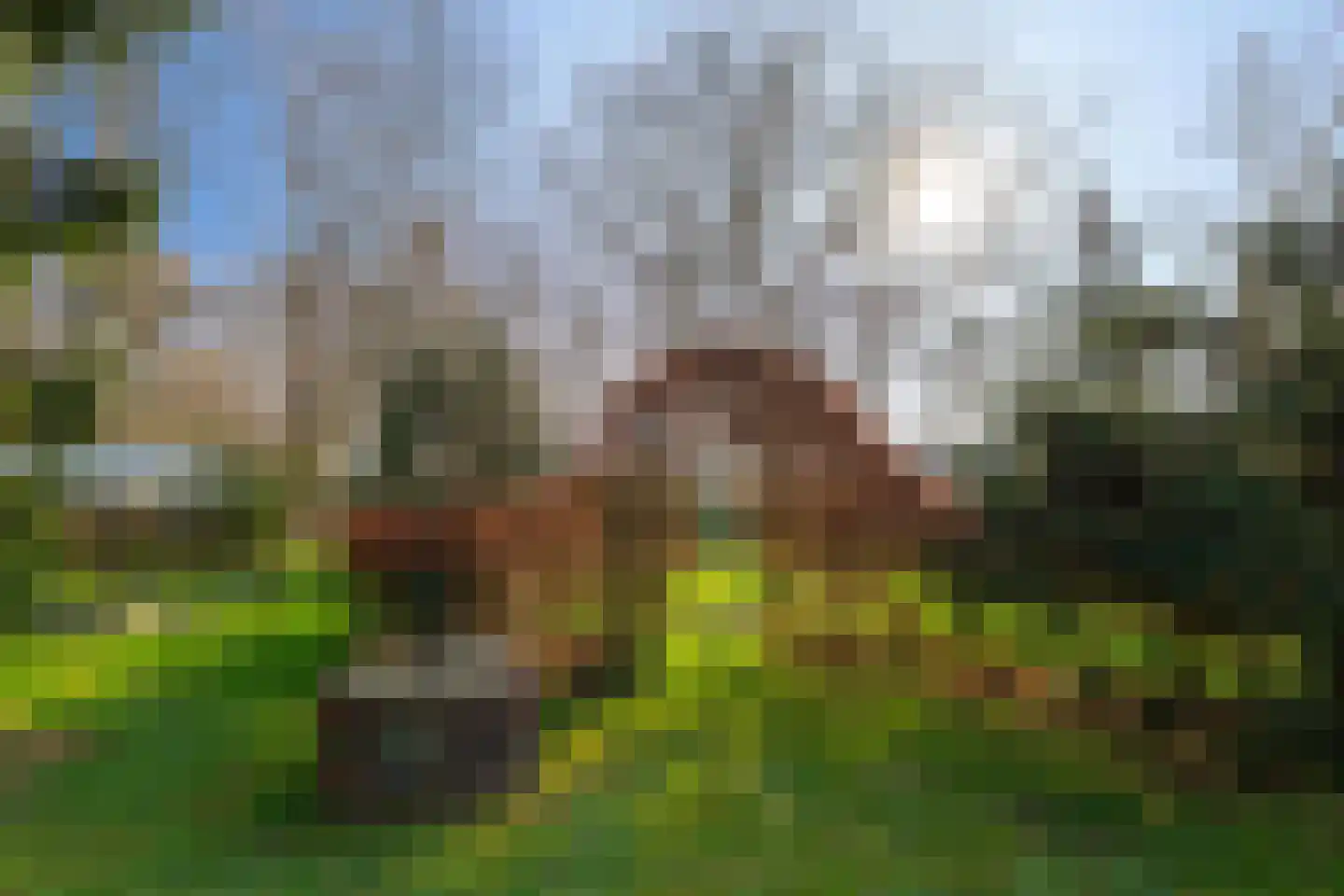 Oosterbroek 3 Eelde thumbnail 40