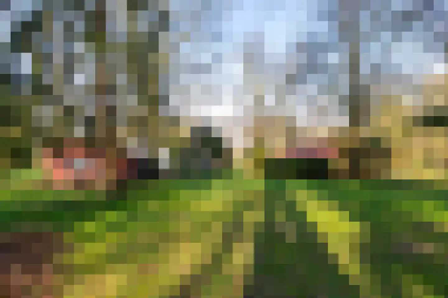 Oosterbroek 3 Eelde thumbnail 42
