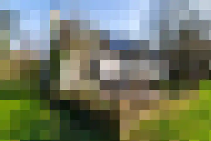 Oosterbroek 3 Eelde thumbnail 43