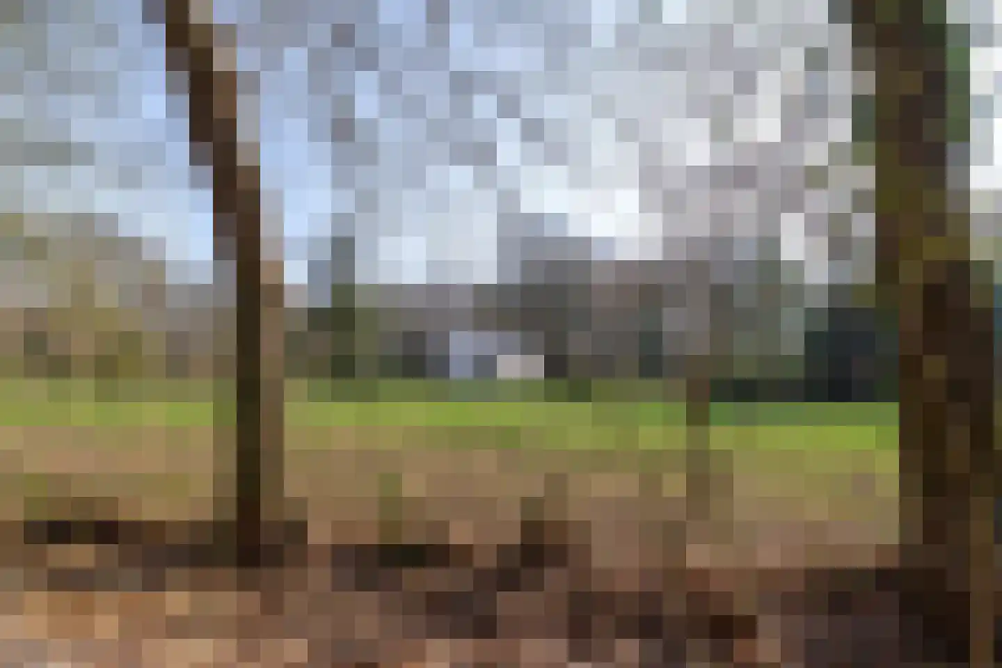 Oosterbroek 3 Eelde thumbnail 47