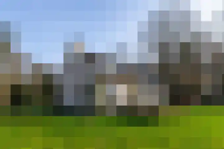 Oosterbroek 3 Eelde thumbnail 50