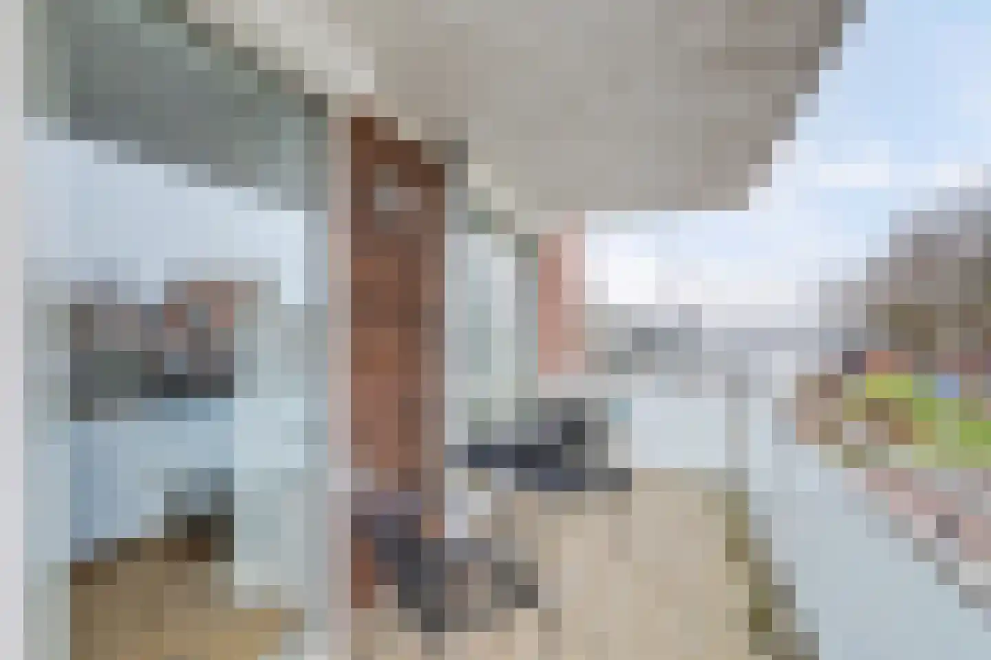 Oosterbrugstraat 15 Sliedrecht thumbnail 12