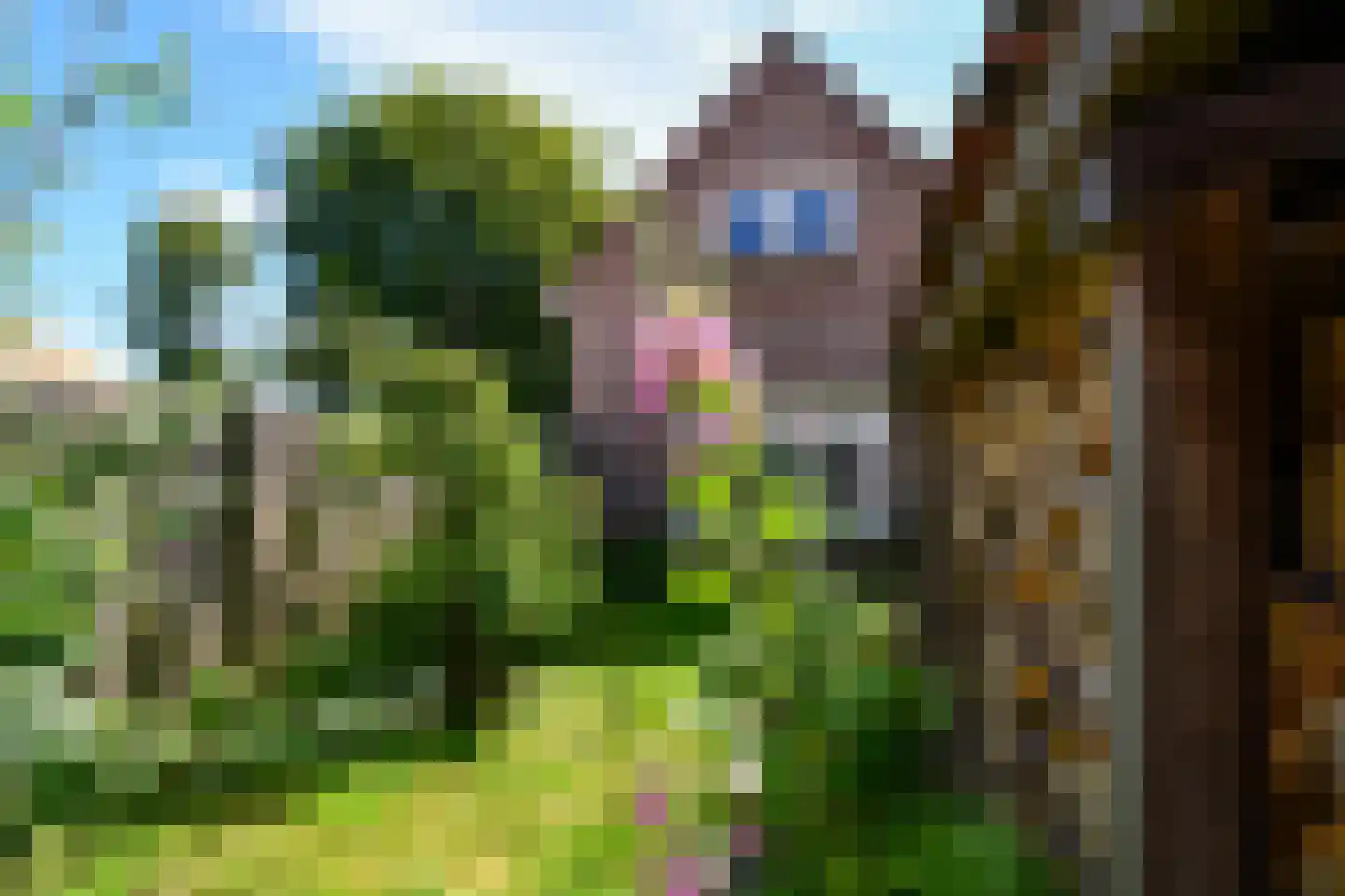Oosterburen 62 Midsland thumbnail 58
