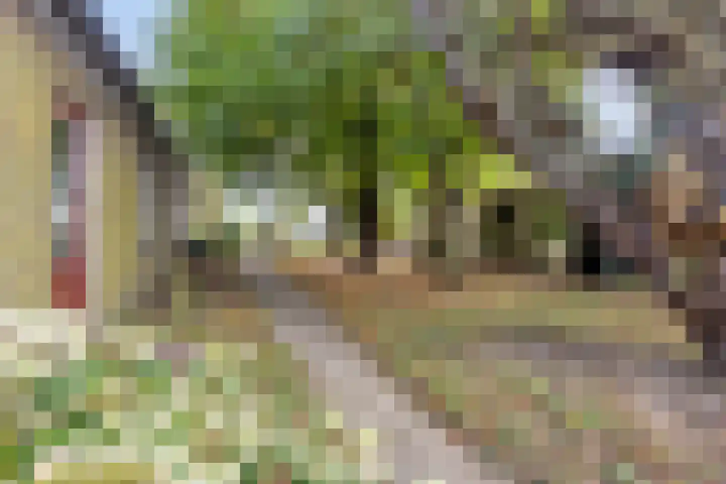 Oosterbuurt 1 Castricum thumbnail 15