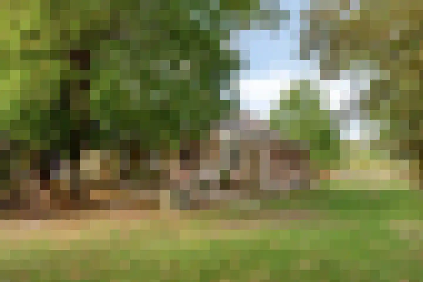 Oosterbuurt 1 Castricum thumbnail 16